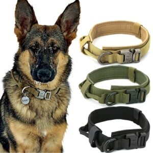 Collier Tactique Militaire pour Chien – Ultra Résistant et Sécurisé